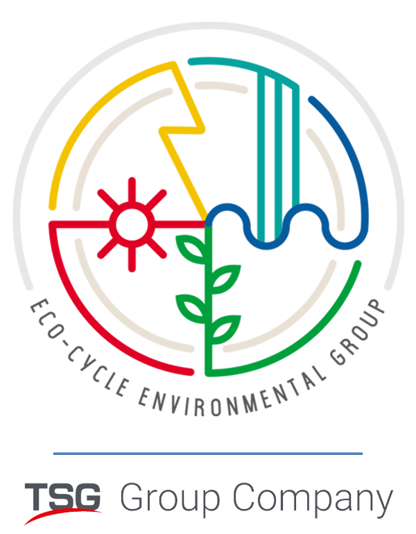 ECITSG-Logo copy